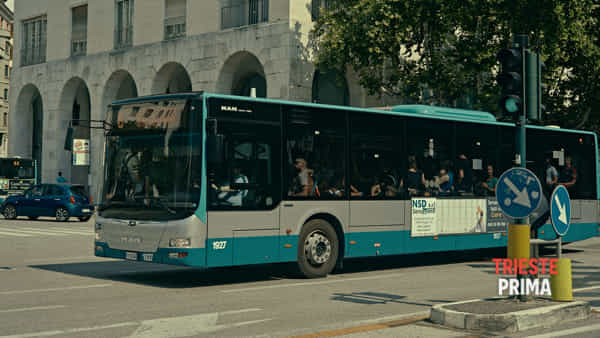 Bus a Trieste: le linee e gli orari nei giorni feriali e festivi
